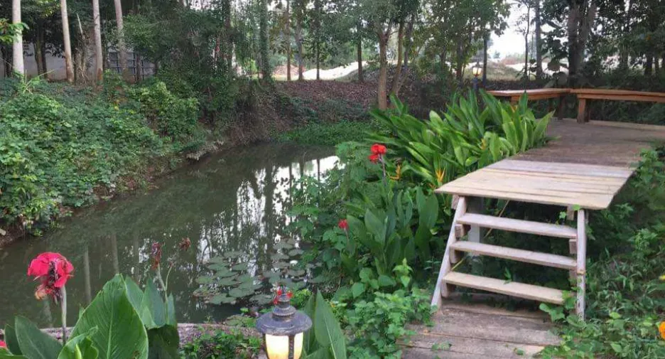 For sale land in Chiang Khan, Loei