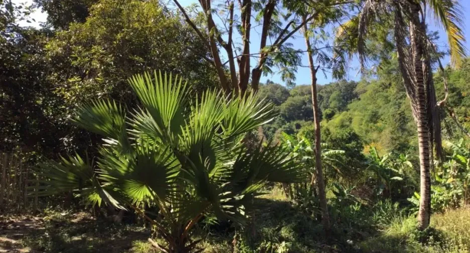 For sale land in Muang Nan, Nan