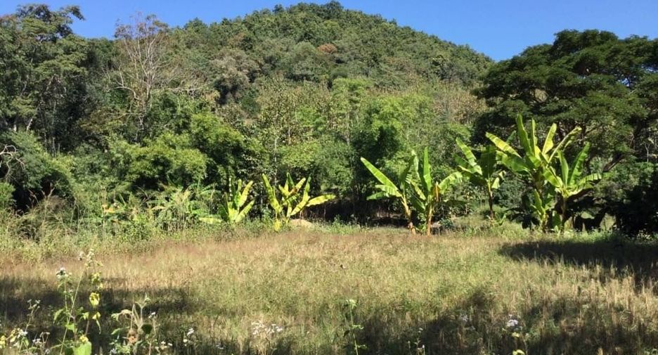 For sale land in Muang Nan, Nan