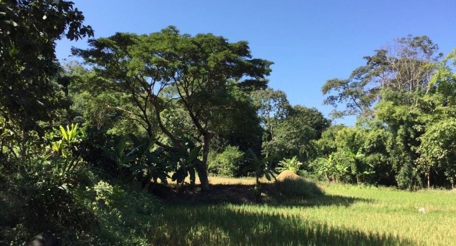 For sale land in Muang Nan, Nan