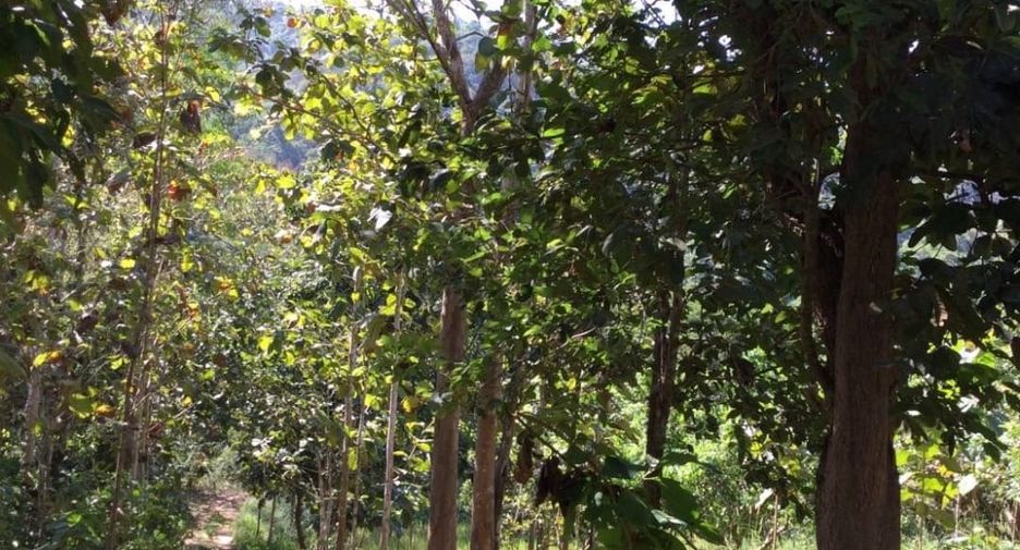 For sale land in Muang Nan, Nan