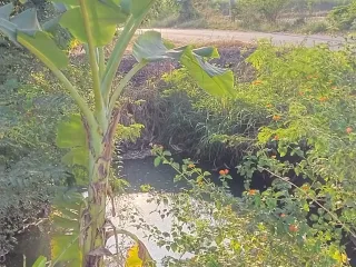 Terreno en venta en Kamphaeng Saen, Nakhon Pathom