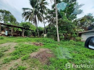 出售 土地 在 Mueang Phetchabun, Phetchabun