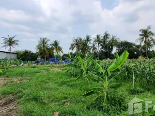 出售 土地 在 Mueang Chon Buri, Chon Buri