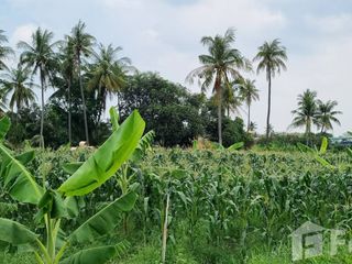 出售 土地 在 Mueang Chon Buri, Chon Buri