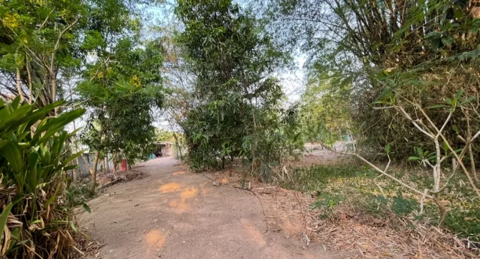 For sale land in Suan Phueng, Ratchaburi
