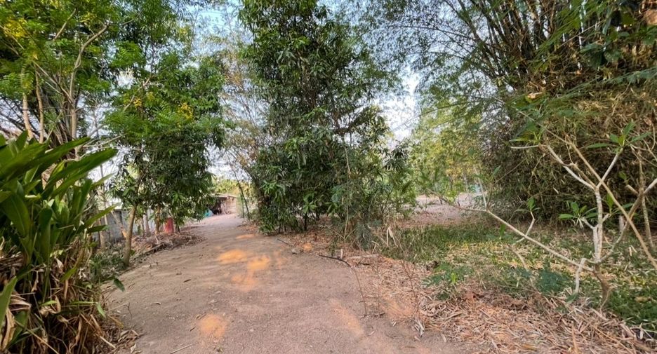 For sale land in Suan Phueng, Ratchaburi