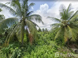 Продажа Участок в Mueang Surat Thani, Сураттани