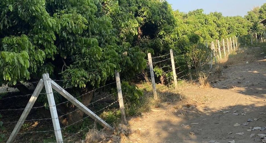 ขาย ที่ดิน ใน ป่าซาง, ลำพูน