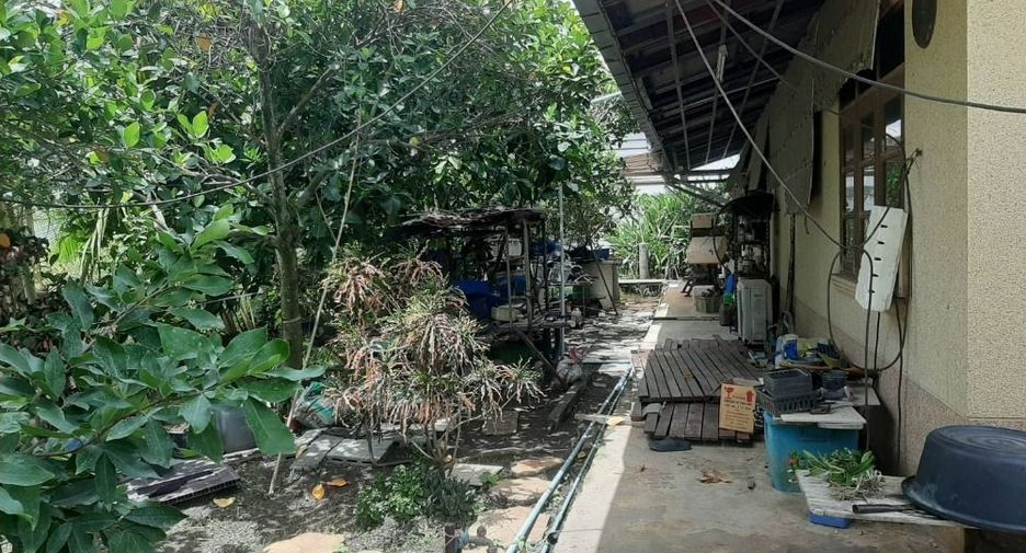 出租 6 卧室 独立屋 在 Sam Phran, Nakhon Pathom