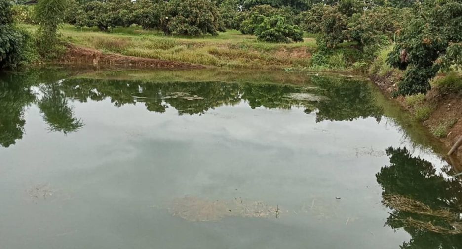 For sale land in Chai Prakan, Chiang Mai