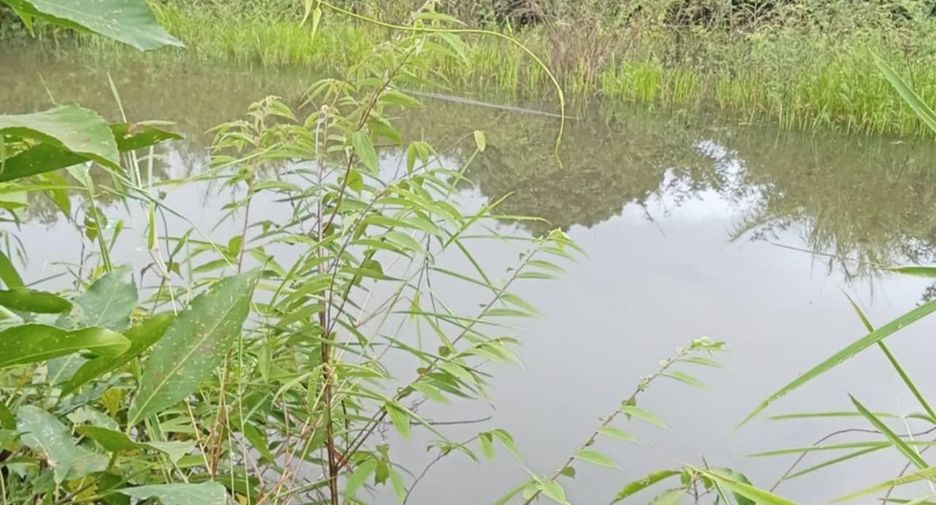 For sale land in Chai Prakan, Chiang Mai