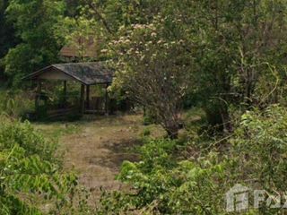 For sale land in Thoen, Lampang