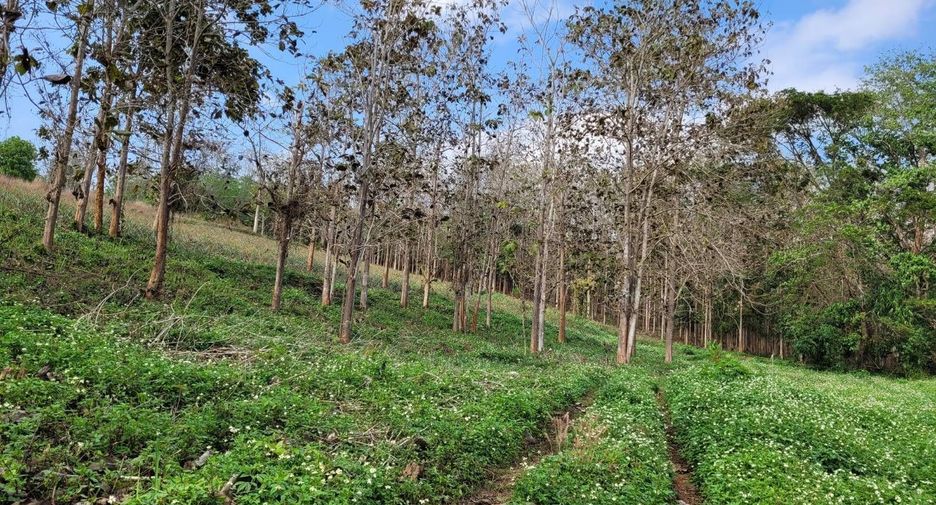 For sale land in Mae Chan, Chiang Rai
