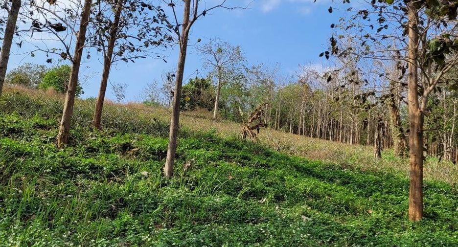 For sale land in Mae Chan, Chiang Rai