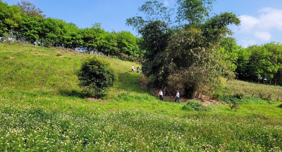 For sale land in Mae Chan, Chiang Rai