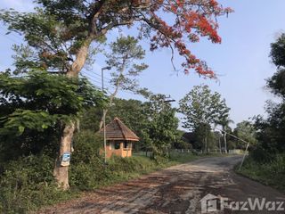 出售 土地 在 Khao Kho, Phetchabun