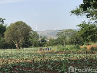 出售 土地 在 Khao Kho, Phetchabun