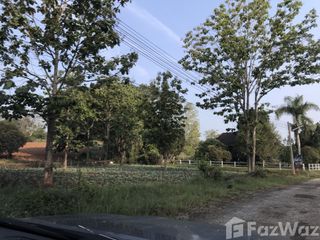 出售 土地 在 Khao Kho, Phetchabun