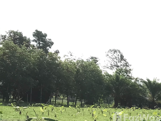 For sale land in Nam Yuen, Ubon Ratchathani