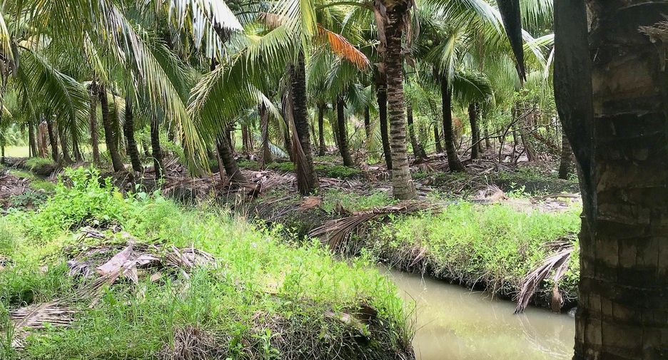 For sale land in Damnoen Saduak, Ratchaburi