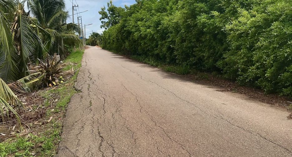 For sale land in Damnoen Saduak, Ratchaburi