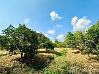 For sale land in Mueang Nakhon Nayok, Nakhon Nayok