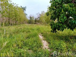 Grundstück zum Kauf in Mueang Lampang, Lampang