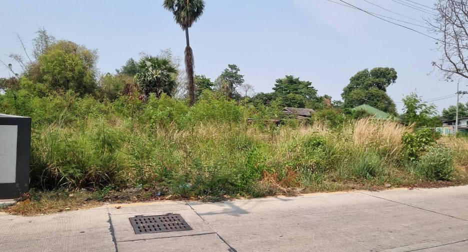 For sale land in Mueang Chon Buri, Chonburi