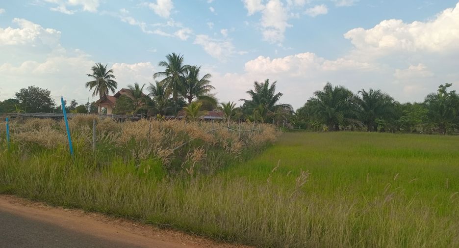 For sale land in Phibun Mangsahan, Ubon Ratchathani