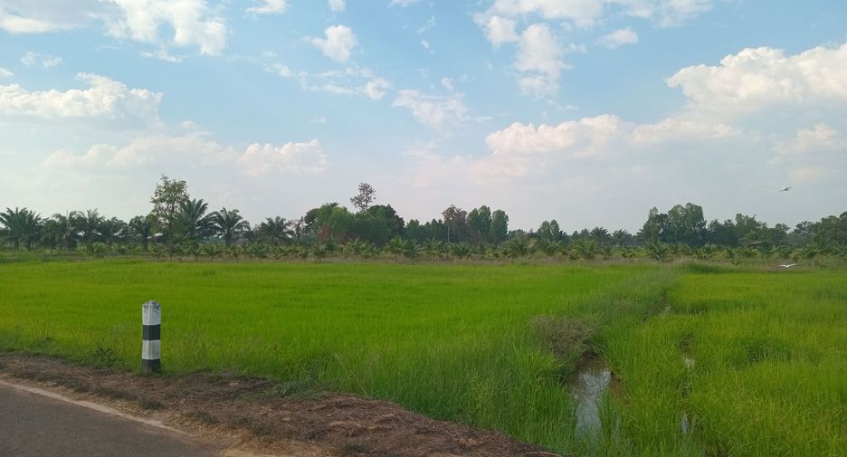 For sale land in Phibun Mangsahan, Ubon Ratchathani