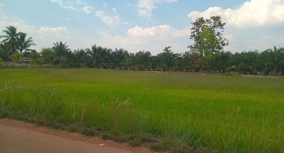 For sale land in Phibun Mangsahan, Ubon Ratchathani