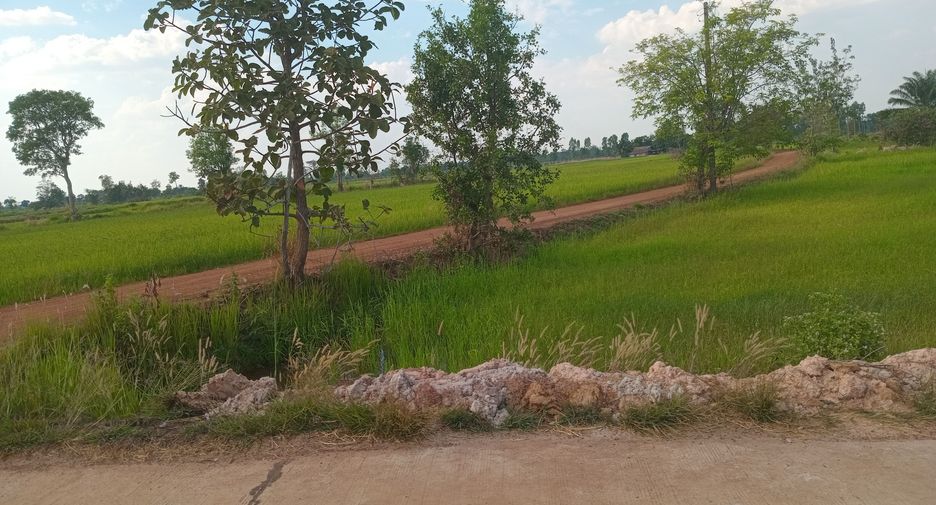 For sale land in Phibun Mangsahan, Ubon Ratchathani