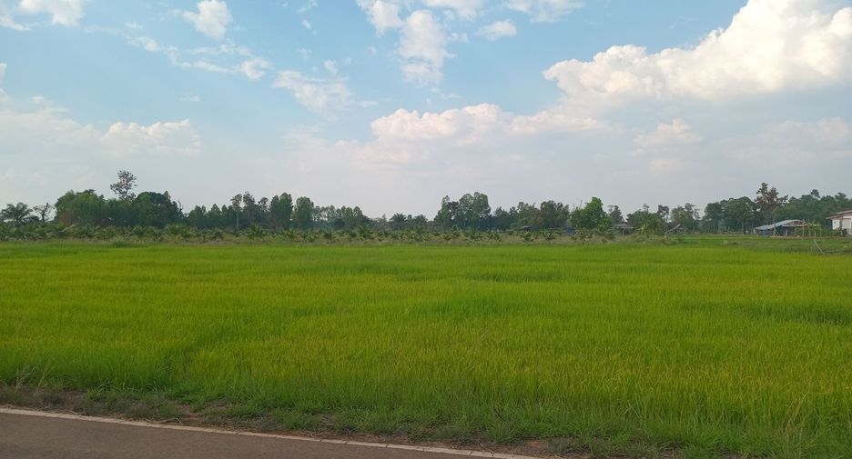 For sale land in Phibun Mangsahan, Ubon Ratchathani