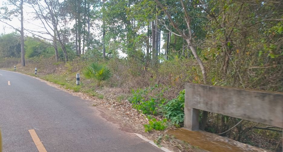 For sale land in Phibun Mangsahan, Ubon Ratchathani