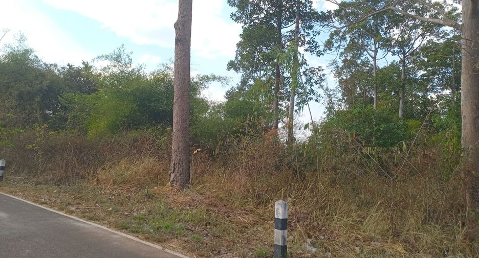 For sale land in Phibun Mangsahan, Ubon Ratchathani