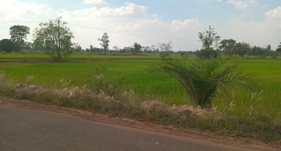 For sale land in Phibun Mangsahan, Ubon Ratchathani