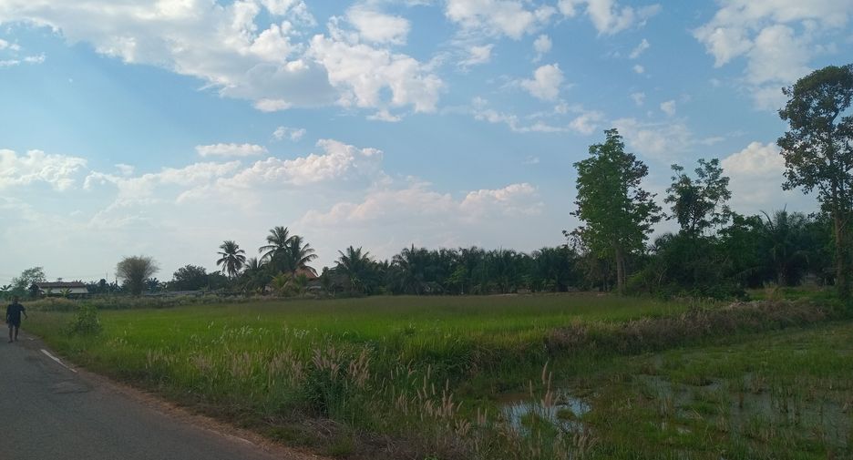 For sale land in Phibun Mangsahan, Ubon Ratchathani