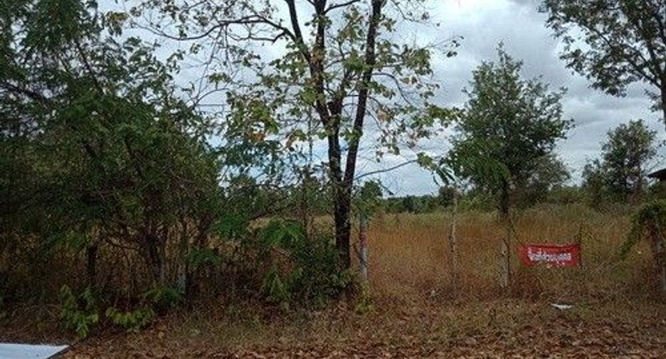 For sale land in Mueang Nong Khai, Nong Khai