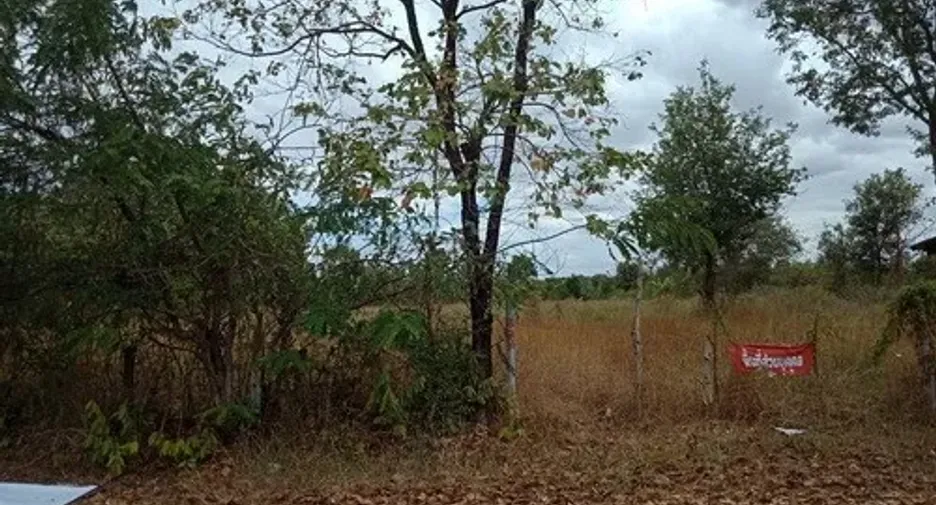 For sale land in Mueang Nong Khai, Nong Khai