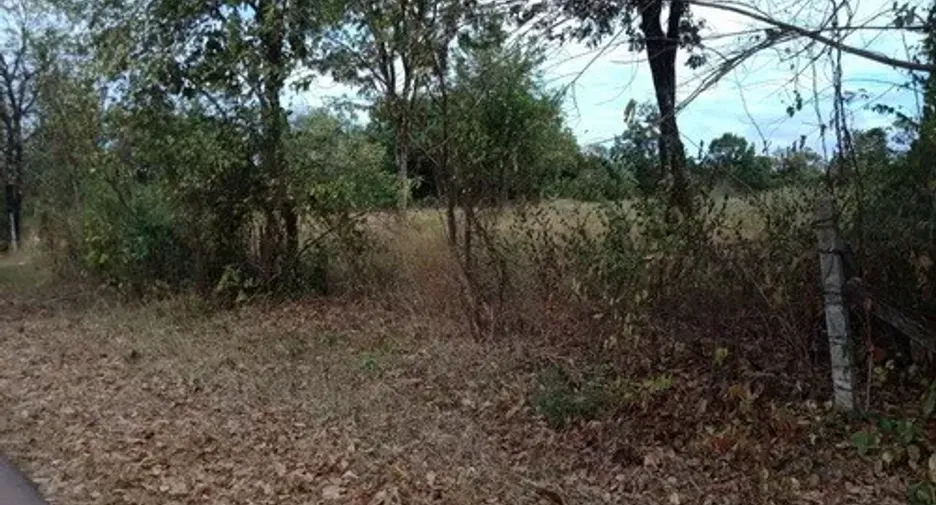 For sale land in Mueang Nong Khai, Nong Khai