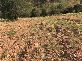 Terreno en venta en Tha Muang, Kanchanaburi