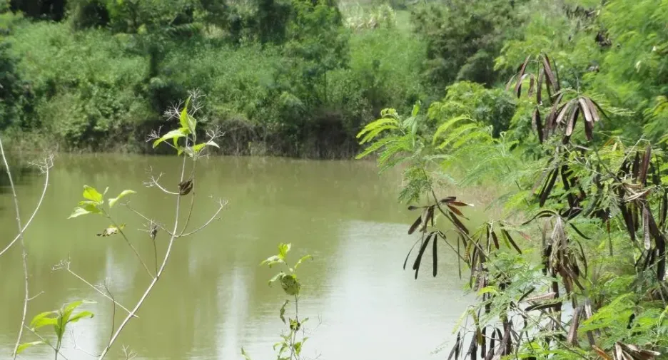 Terreno en venta en Khon Buri, Nakhon Ratchasima