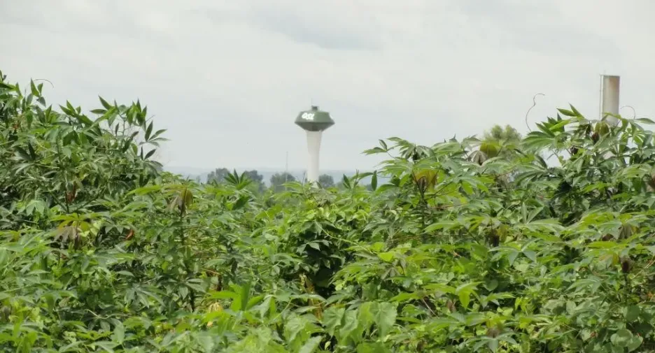 出售 土地 在 Khon Buri, Nakhon Ratchasima