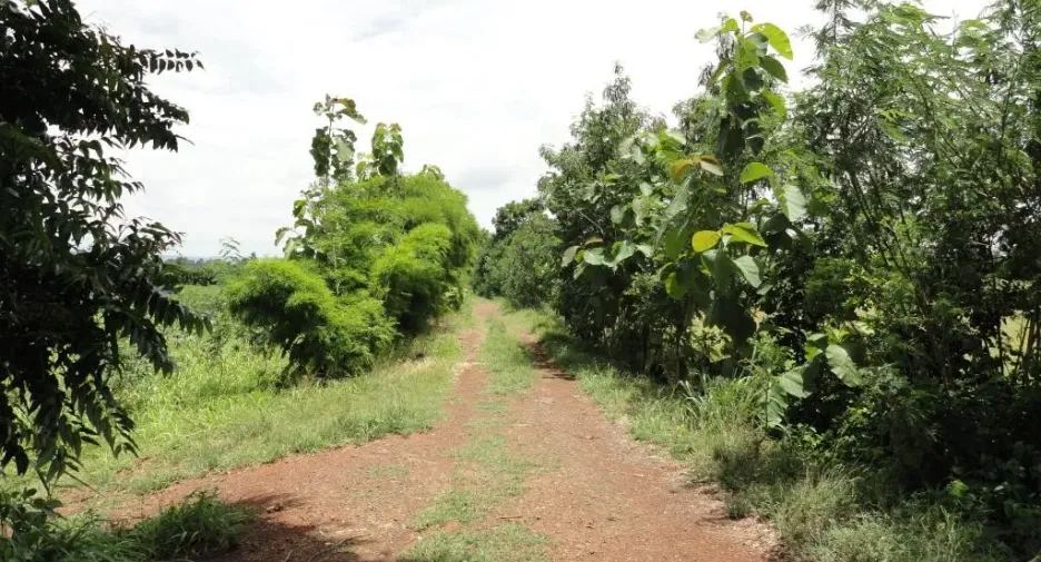 À vendre terrain à Khon Buri, Nakhon Ratchasima