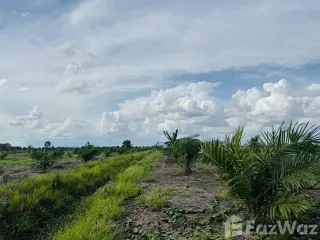 Продажа Участок в Si Thep, Phetchabun