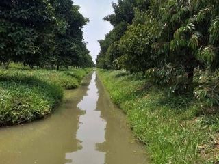 For sale land in Nong Suea, Pathum Thani