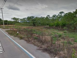 À vendre terrain à Pa Sang, Lamphun