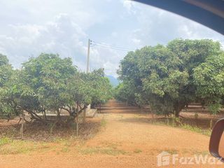 Продажа Участок в Phrao, Чианг Маи