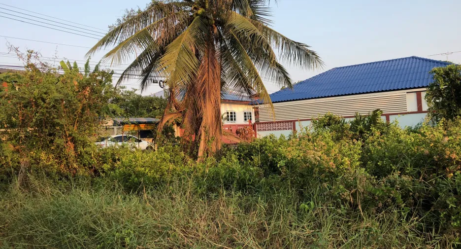 Продажа Участок в Mueang Samut Songkhram, Самутсонгкхрам